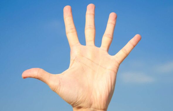 ５つのポイント