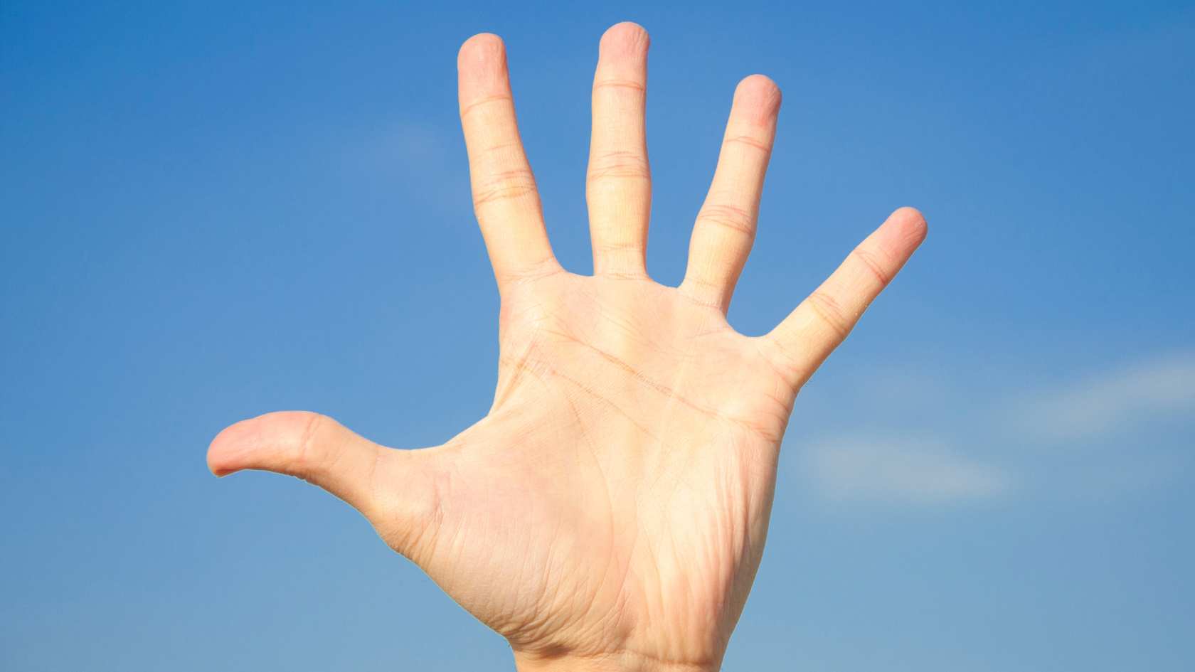 ５つのポイント